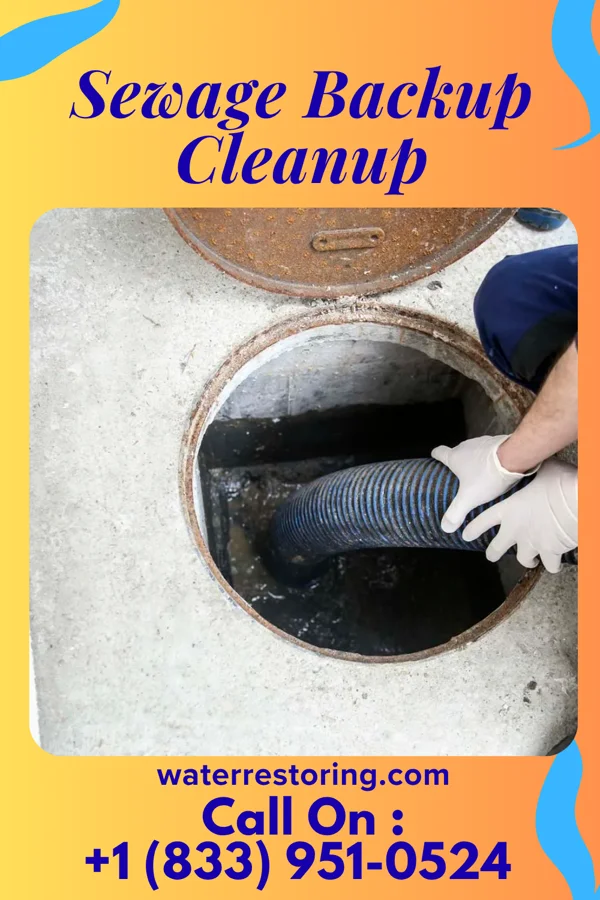 Sewage Backup Cleanup in Royse City, TX